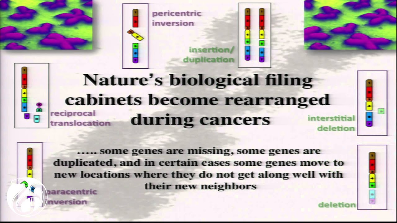 6/8/2015 - Session 2 Presentation: Breen