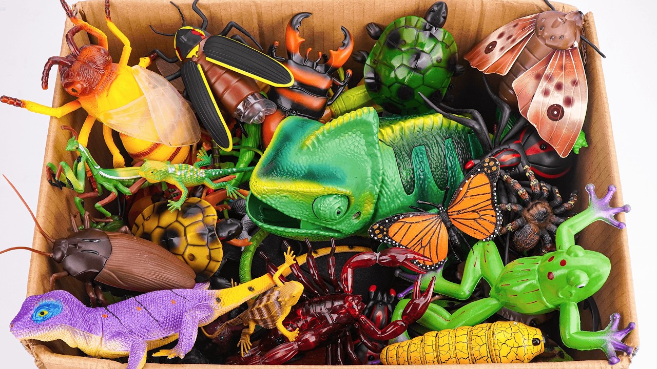 2 Hours ZURU Robo Alive Insects ASMR 🦎 Chameleon, Bee, Lizard, Frog, Worm