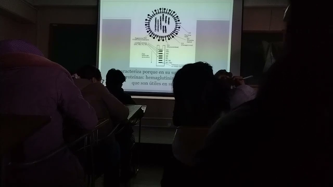 M R3 T- Virus de la Influenza, Virus de la ParaInfluenza y Virus Respiratorio Sincitial. Dra. Arce