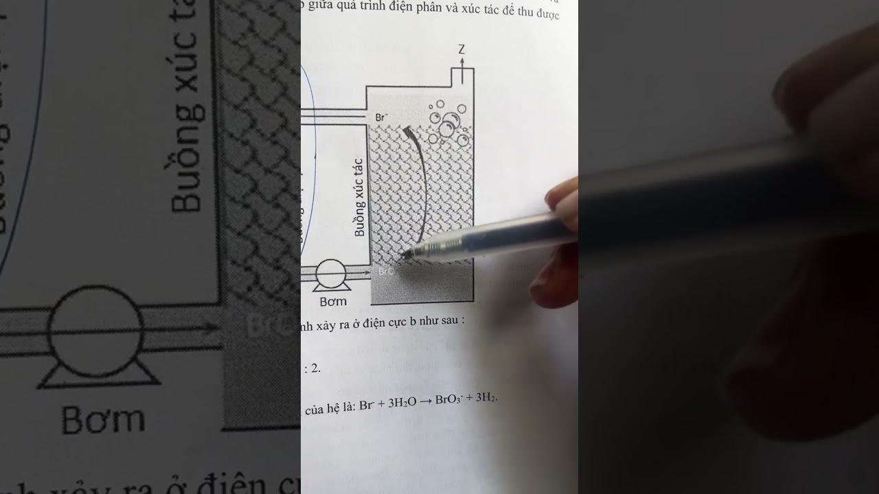 Pin điện phân full lý thuyết và btap all in