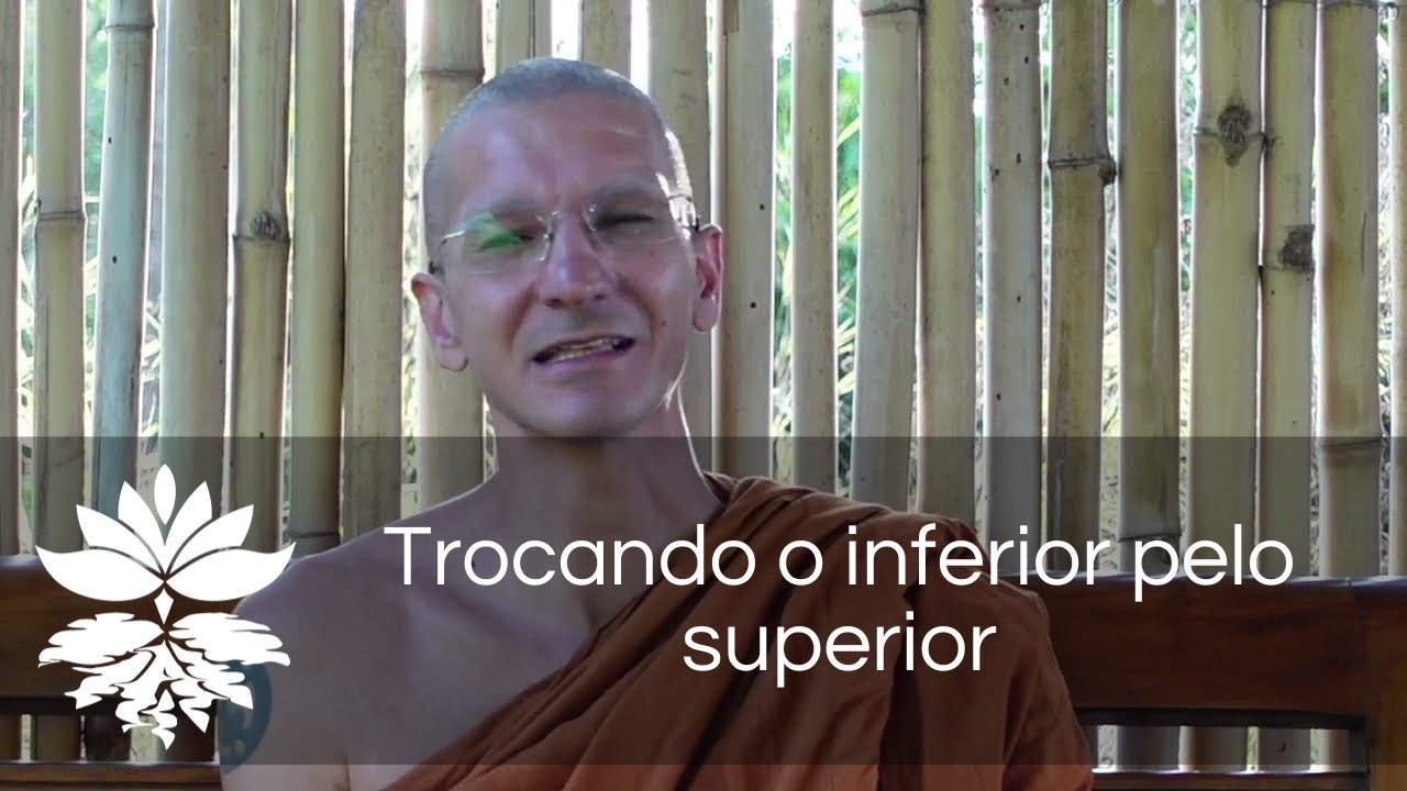 Re-educando a mente