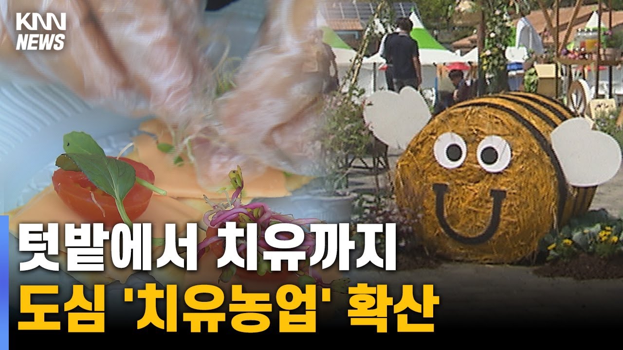 텃밭에서 치유까지, 도시농업 '풍년'