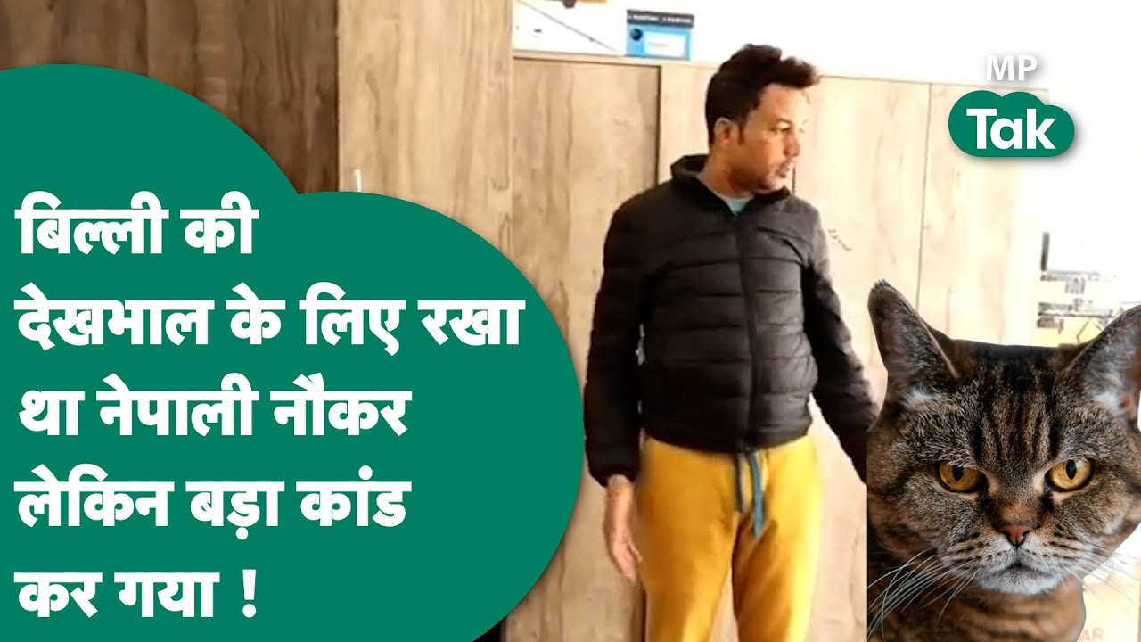 Indore में कारोबारी ने बिल्ली की देखभाल के लिए रखा नौकर लेकिन वो ऐसा कांड कर गया कि सबके होश उड़ गए!