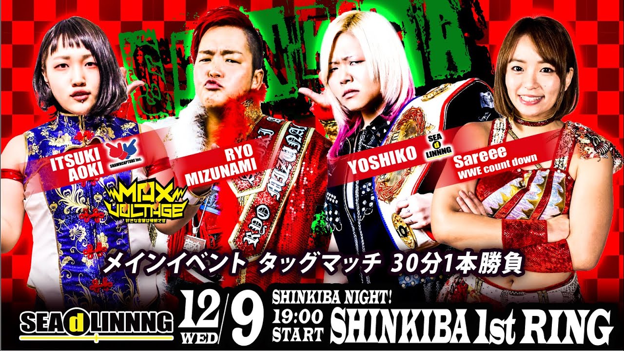 2020年12月9日新木場大会メインイベント／鬼に金棒vsMAX VOLTAGE／ダイジェスト（試合後マイク有）