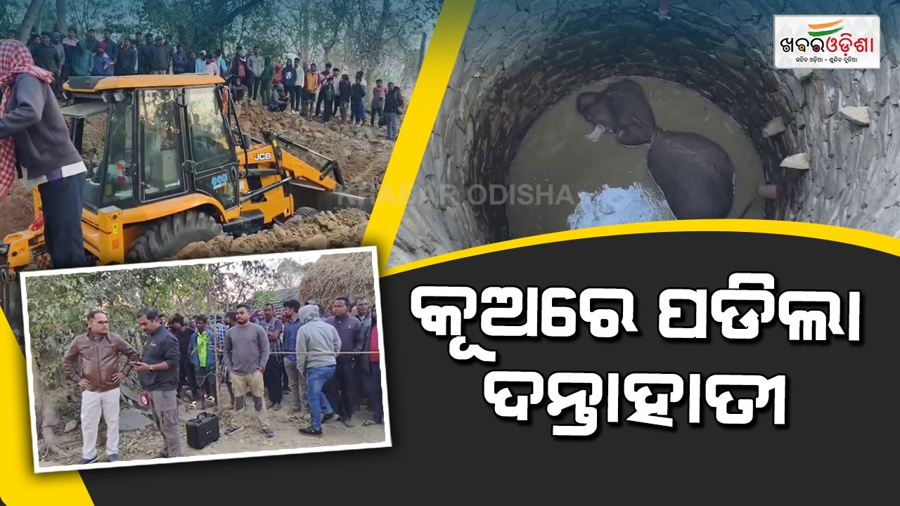 Rescued 🐘 After 6Hour Operation | କୂଅରେ ପଡ଼ିଲା ଦନ୍ତାହାତୀ; ୬ ଘଣ୍ଟା ଅପରେସନ ପରେ ଉଦ୍ଧାର କଲା ବନବିଭାଗ | KO