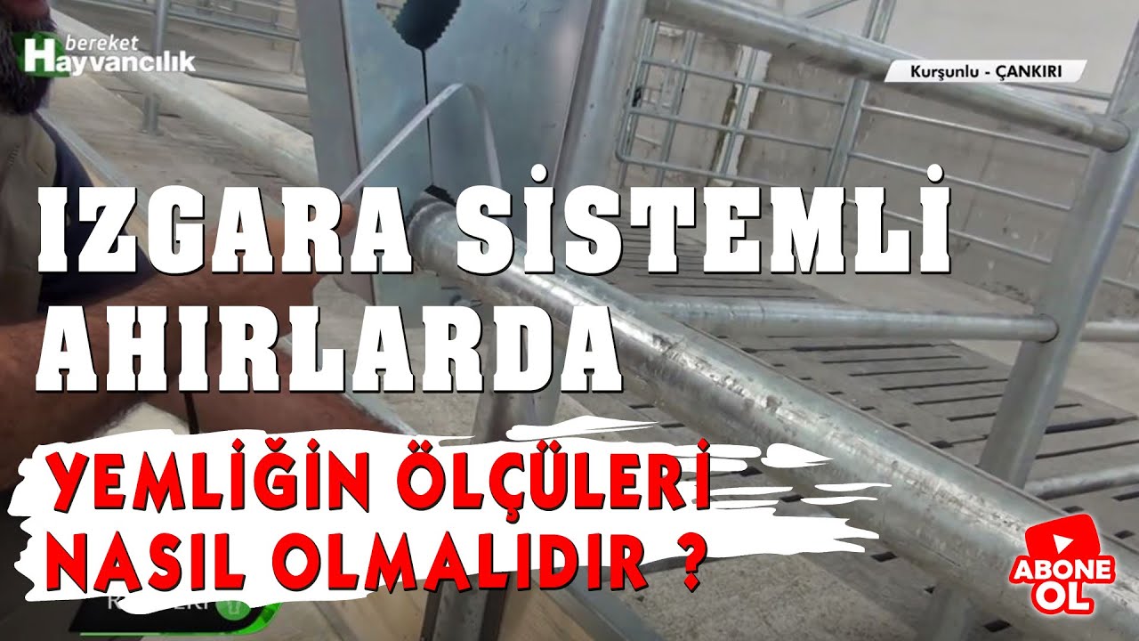 Hayvancılık Rehberi - Izgara Sistemli Ahırlarda Yemliğin &Ouml;l&ccedil;&uuml;leri Nasıl Olmalıdır?