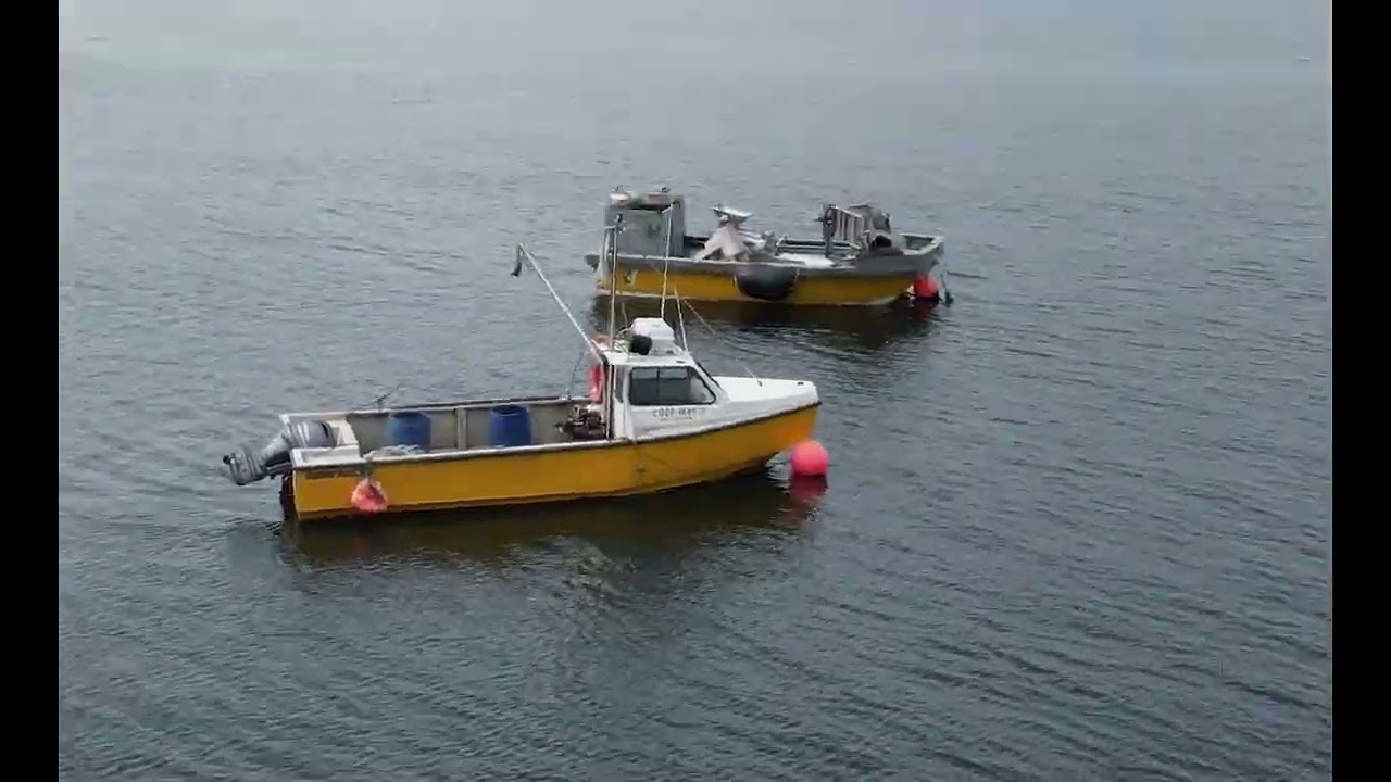 PUERTO ALMANZA CANAL BEAGLE