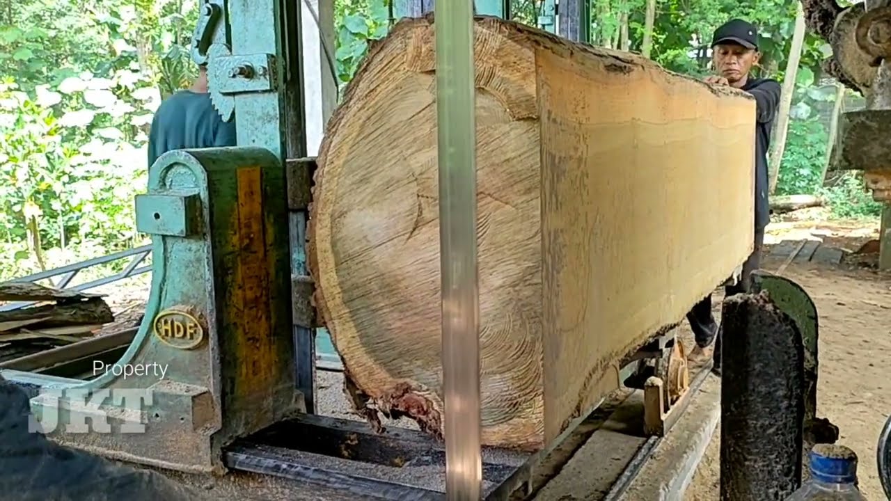 Antik dan Berkarismatik, Kayu Waru full galih diSawmil papan bernilai jual tinggi