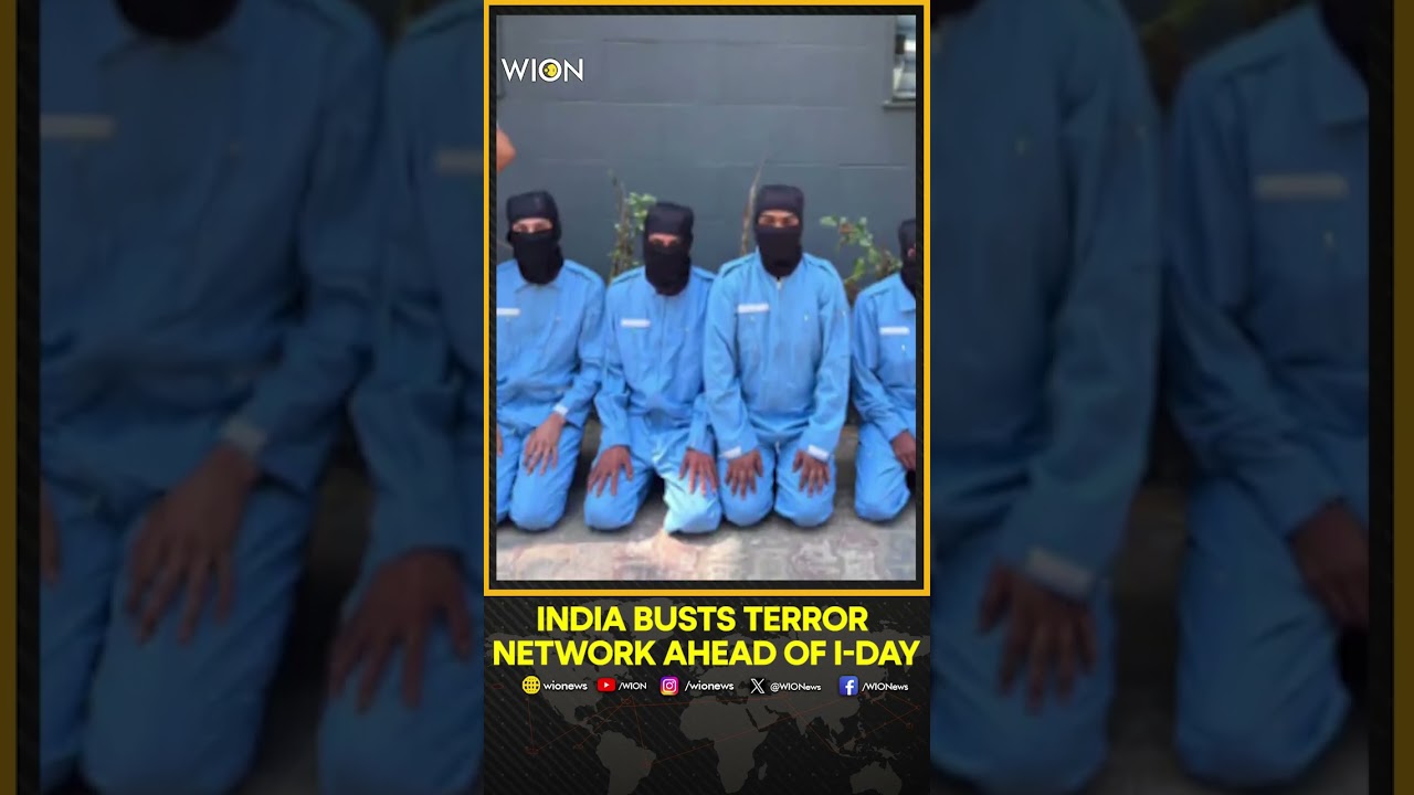 Amit Shah: 200+ Arrested In ISI-Backed Terror Network Bust Ahead Of I-Day | WION Shorts