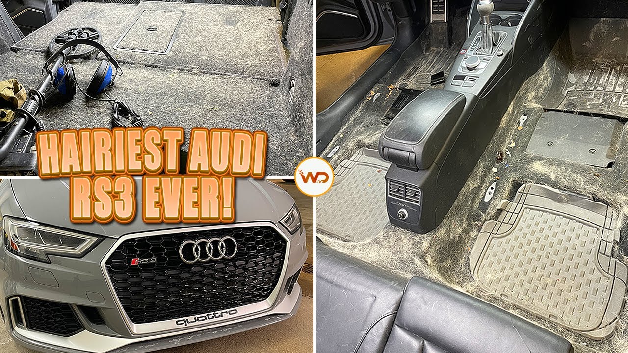 Глубокая очистка самой волосатой Audi RS3 за всю историю | Экстремальное удаление собачьей шерсти...