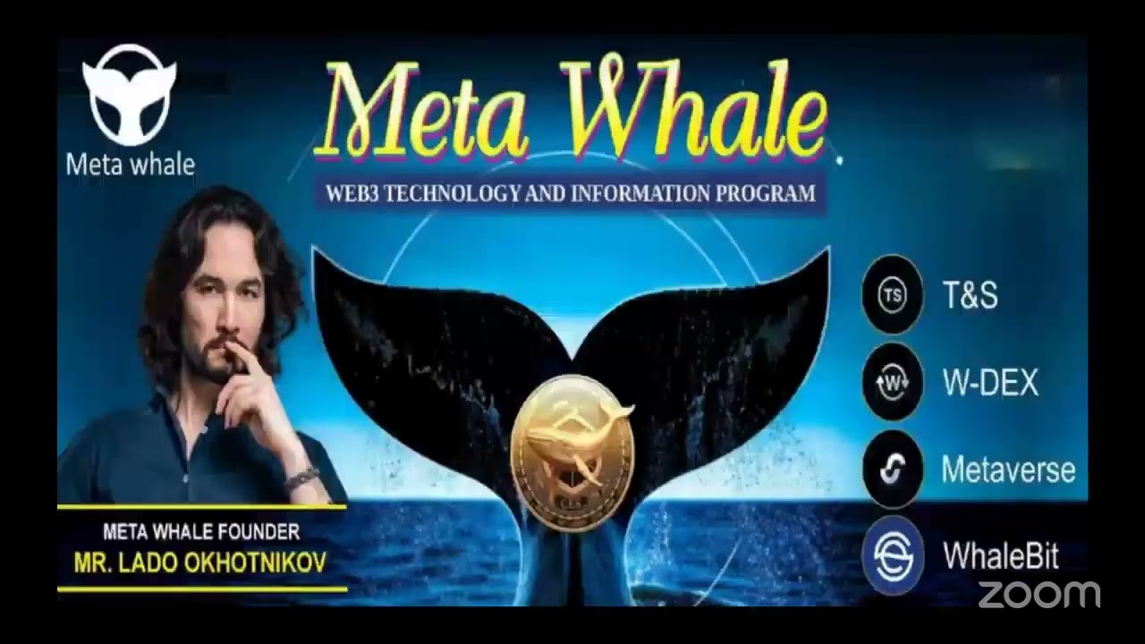 🚀 MetaWhale Business Plan💰 Future Income Opportunity
