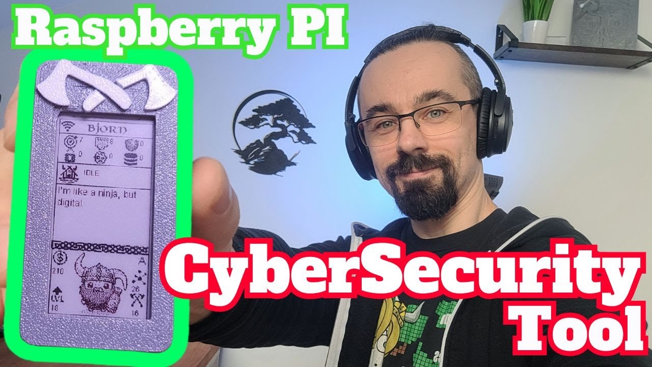 Превратите свой Raspberry Pi в инструмент сетевой безопасности — встречайте викинга Бьорна