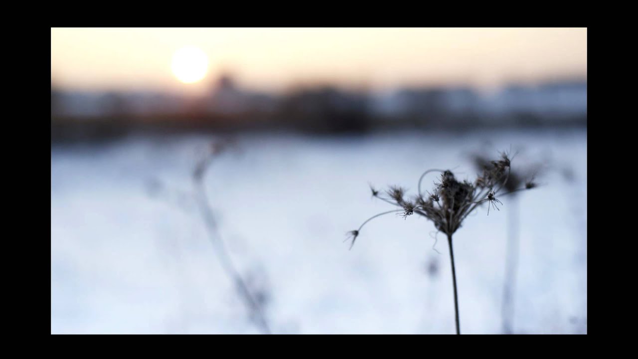 OSP -  Eu impotriva eului ( Unreleased 2004 )
