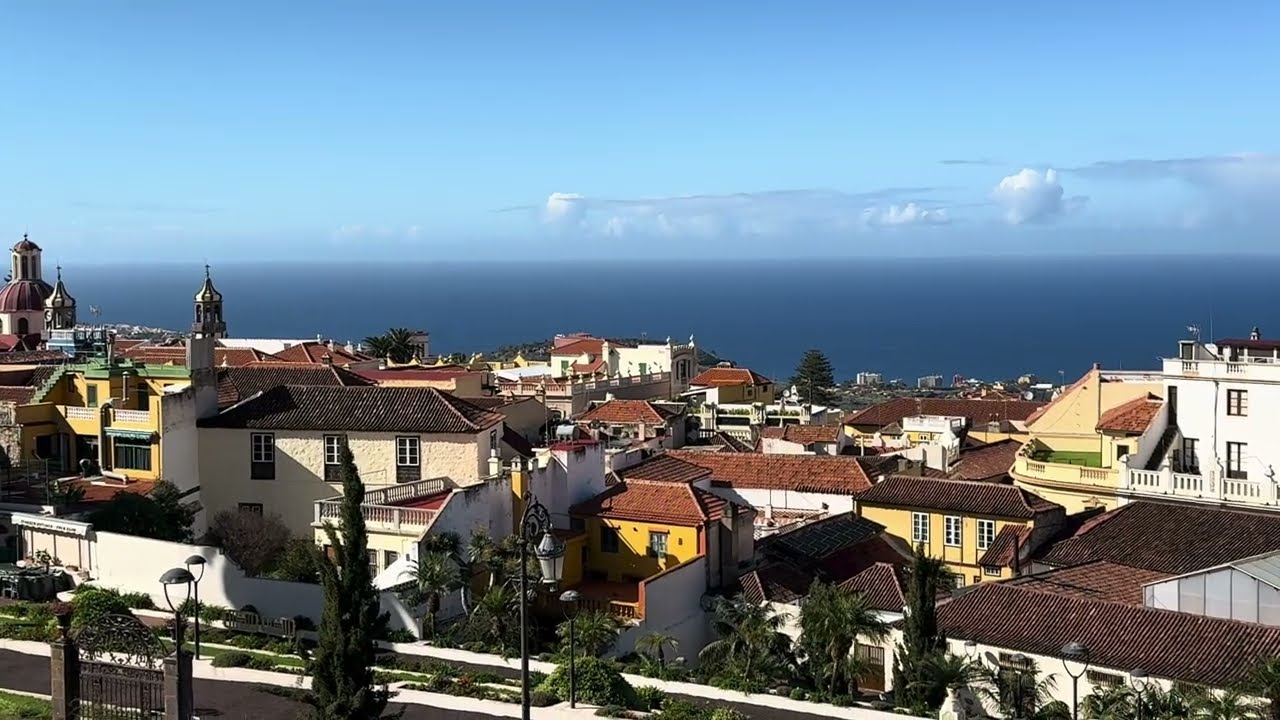 2026 01 08 Northern Tenerife Orotava January
