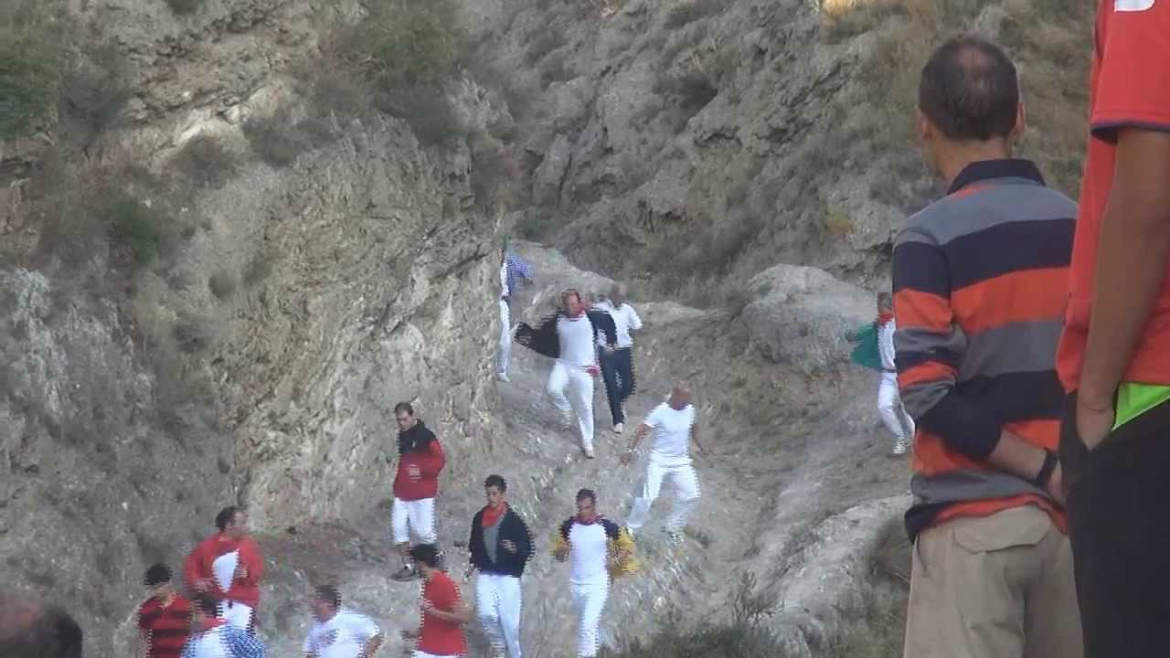 ULTIMO ENCIERRO DEL PILON DE FALCES (NAVARRA) 18- 08 -2013