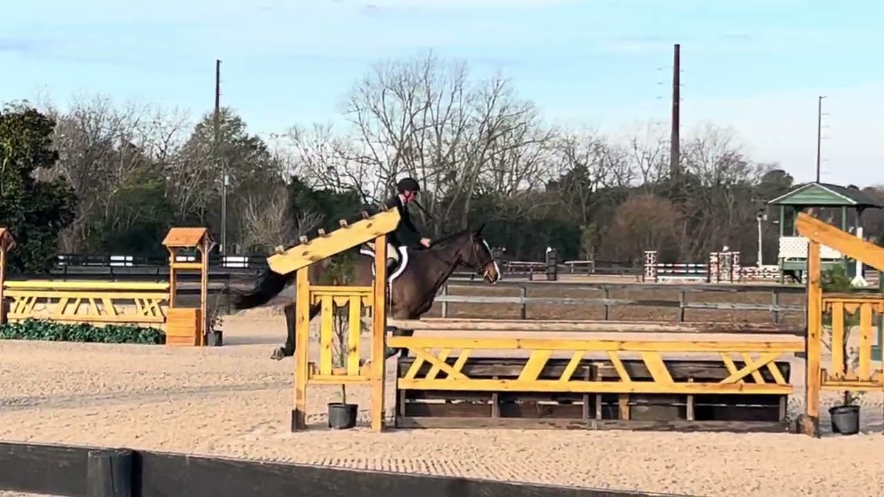 Zahara greens 3 6’ 1/26