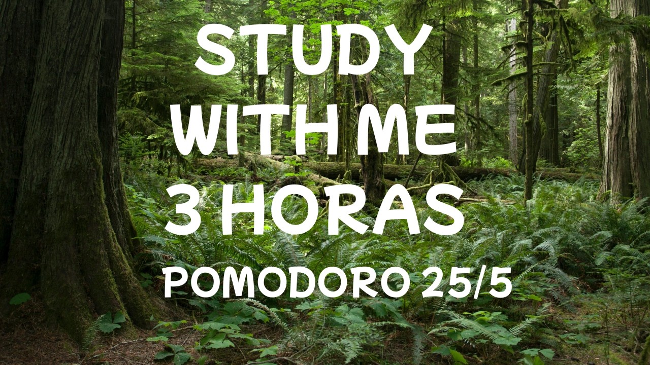 3- HORAS STUDY WITH ME 🌲 Lluvia en el Bosque [Pomodoro 25/5] | Enfoque Profundo para TDAH.