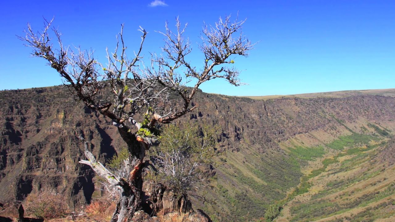 Steens Mountain Wilderness