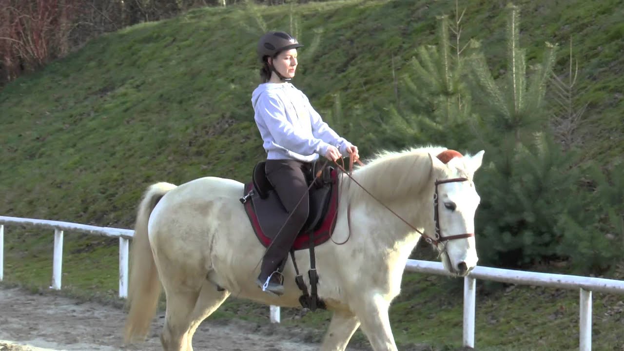 Reittraining Februar