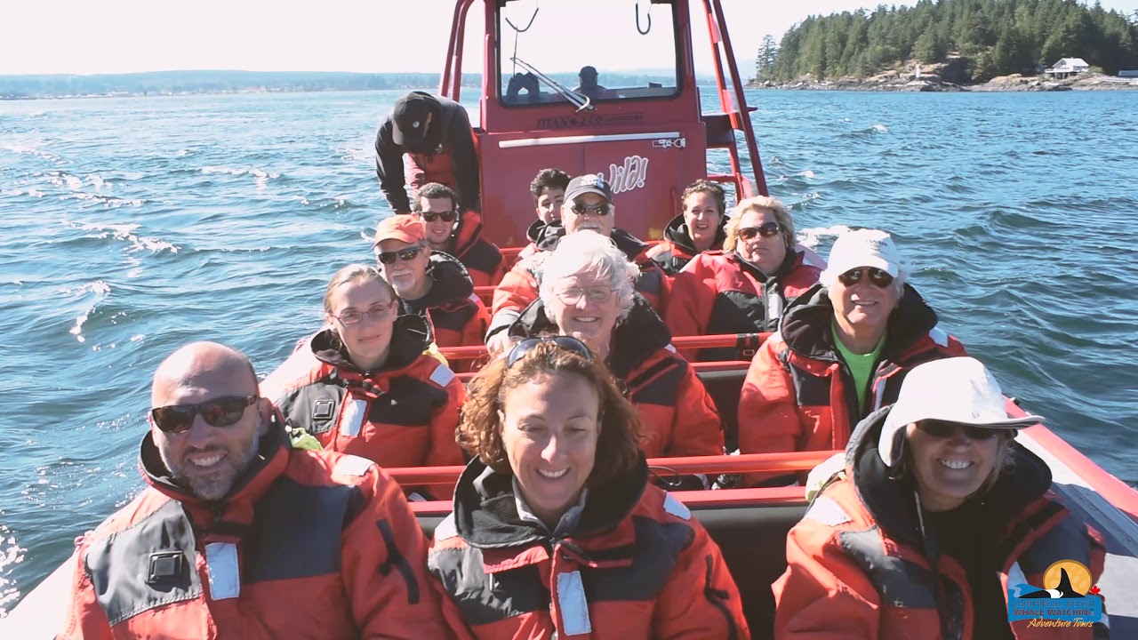 What Can You Experience With Us? | Campbell River Whale Watching and Adventure Tours