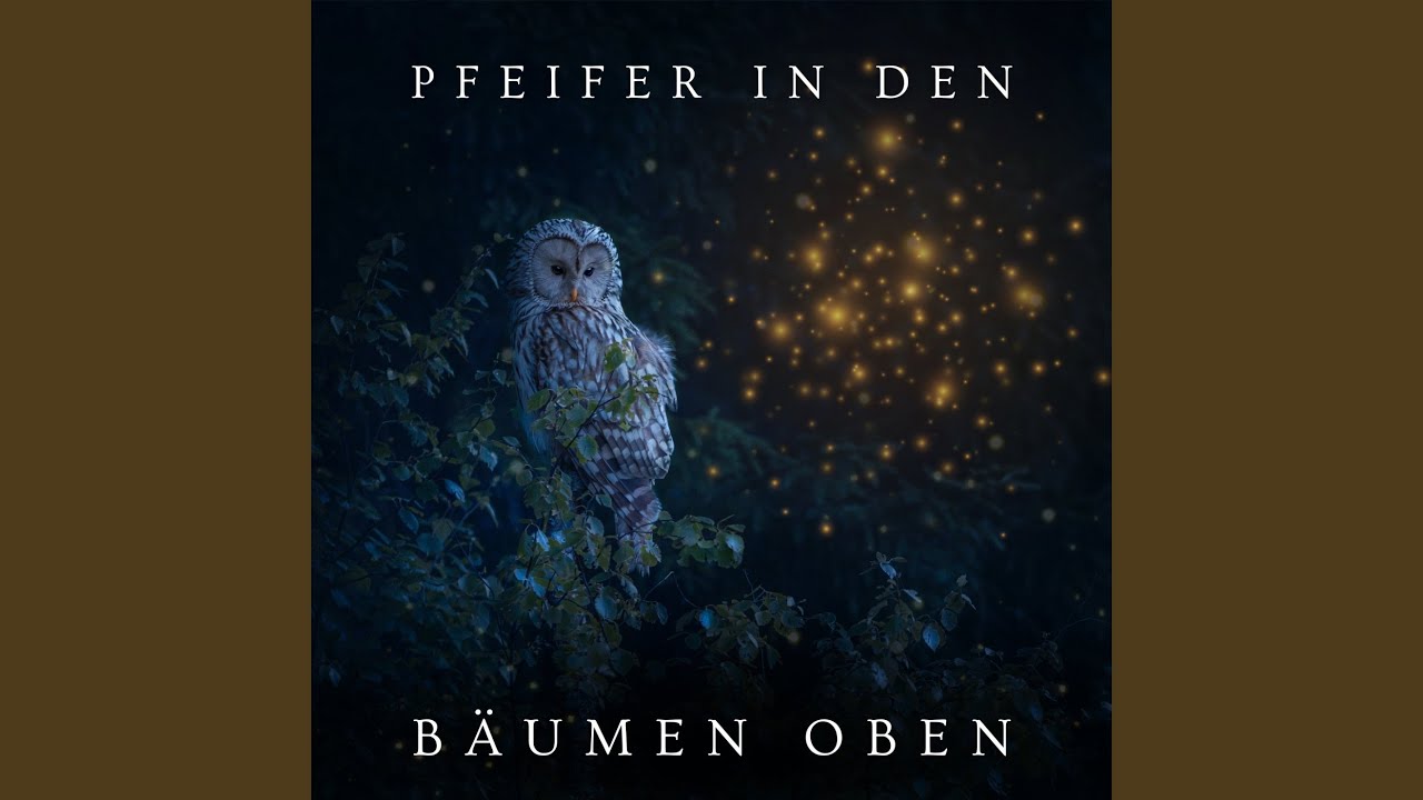 Pfeifer in den Bäumen oben, Pt. 61