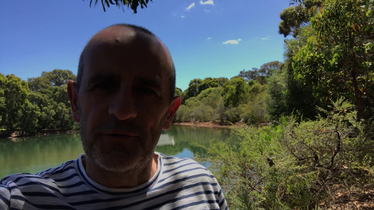 GoinStyle Luxury Transport Feedback Review Jan 2019