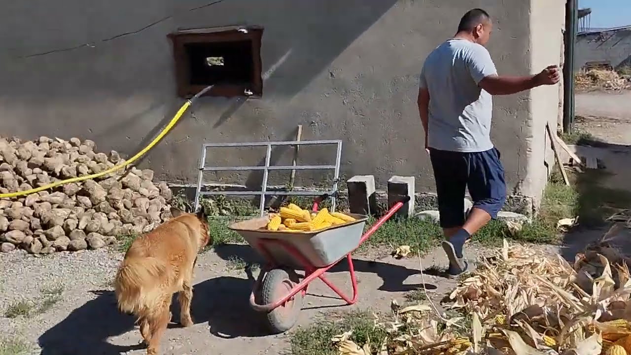 өтө жакшы шарттар түзүлгөн Сарай сатылат Ватсап 0708392023