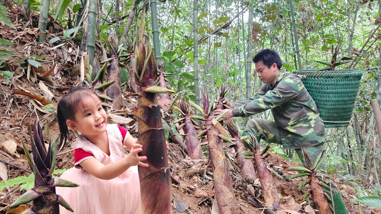 Harvesting Bamboo Shoots Underground go to the market sell-Caring for chickens and ducks