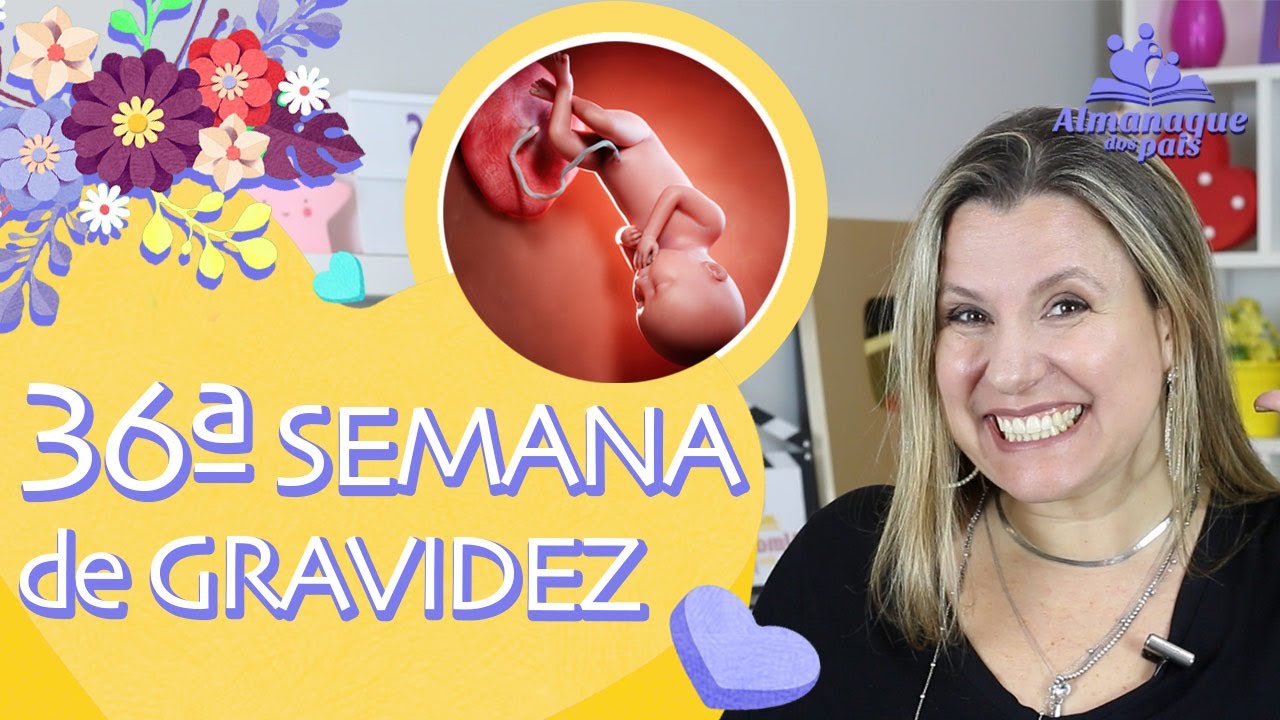 36ª SEMANA DE GESTAÇÃO | 9 Meses, Como está o Bebê, Posso dirigir? | 3º TRIMESTRE DE GRAVIDEZ