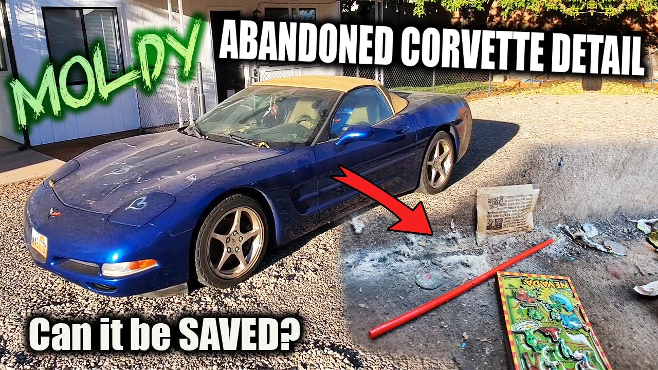 10+ Hour Detail on my MOLDY Abandoned C5 Corvette... Can it be saved?