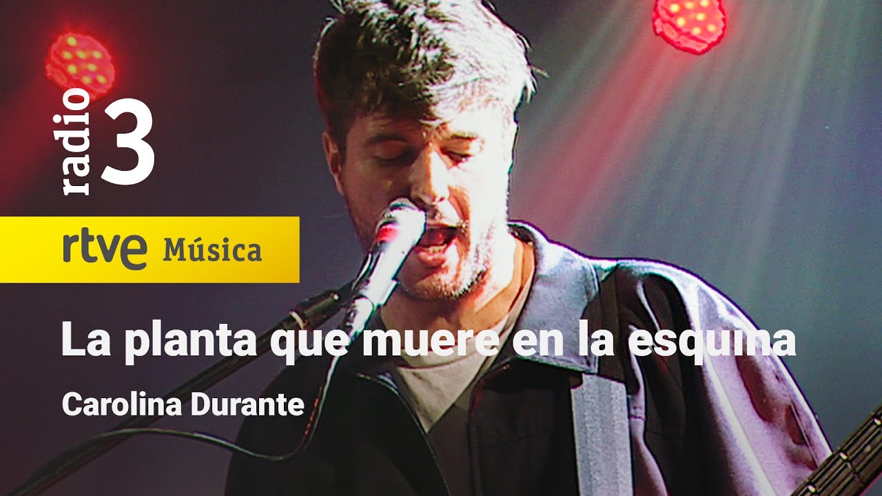 Carolina Durante - “La planta que muere en la esquina” | Conciertos de Radio 3 (2022)
