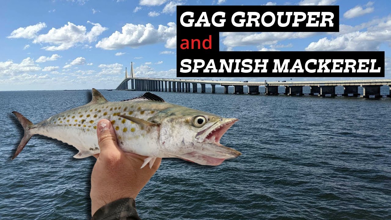 How To Target Spanish Mackerel: Mastering the Skyway Fishing Pier