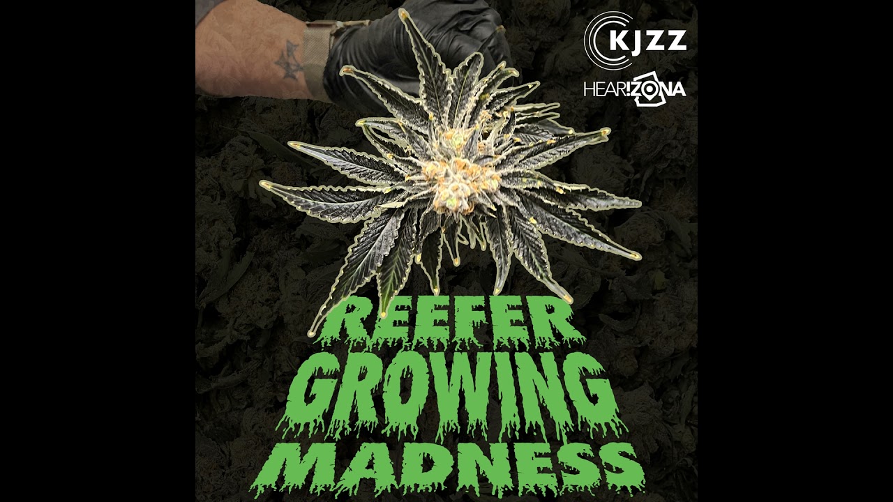 While marijuana plants enjoy a summer solstice, lead farmer shares how he clawed his way in