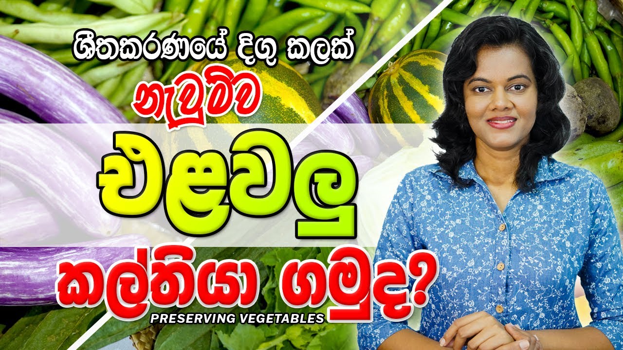 එළවලු මාසයක් කල්තියා ගන්න ක්‍රම I Preserving Vegetables I 012