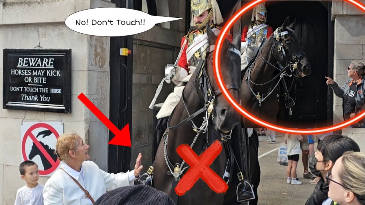 READ THE SIGN! King's Guard Tells Lady 
