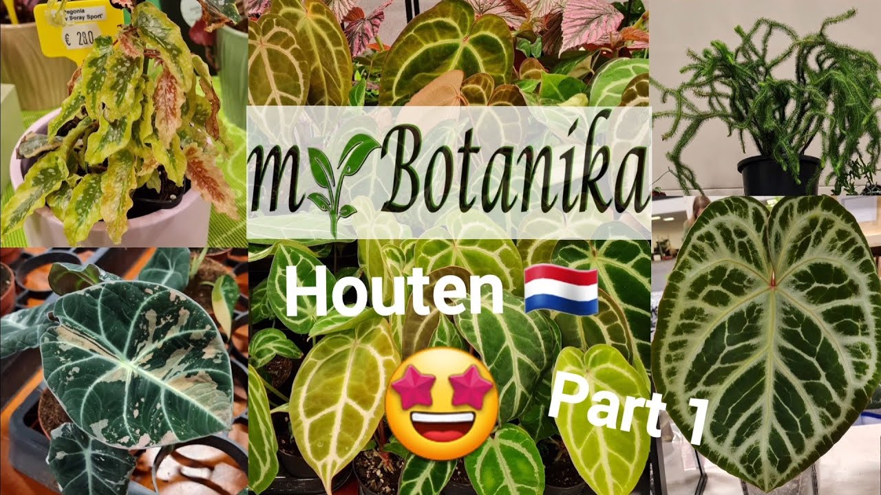 myBotanika Houten 2024 🇳🇱 | Part 1 🌱