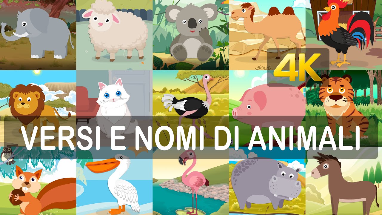Impara i versi ed i nomi dei 40 animali in italiano (risoluzione 4K)