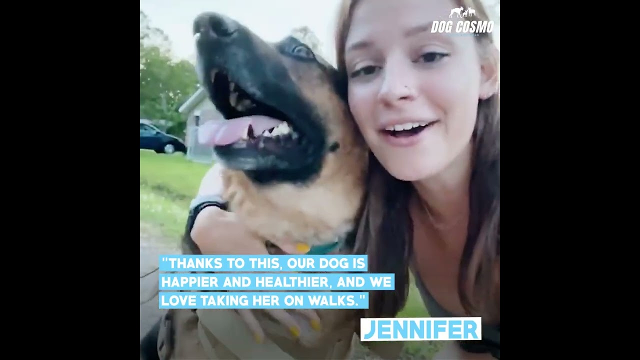 Dogcosmo Smokejumper Tactical Dog Harness | Maximum Comfort | Choke Free Walking