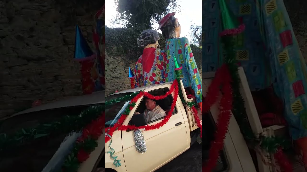 A população desfilou no Carnaval pelas ruas de Barcos #Carnaval2025 #VideoSaraCosta
