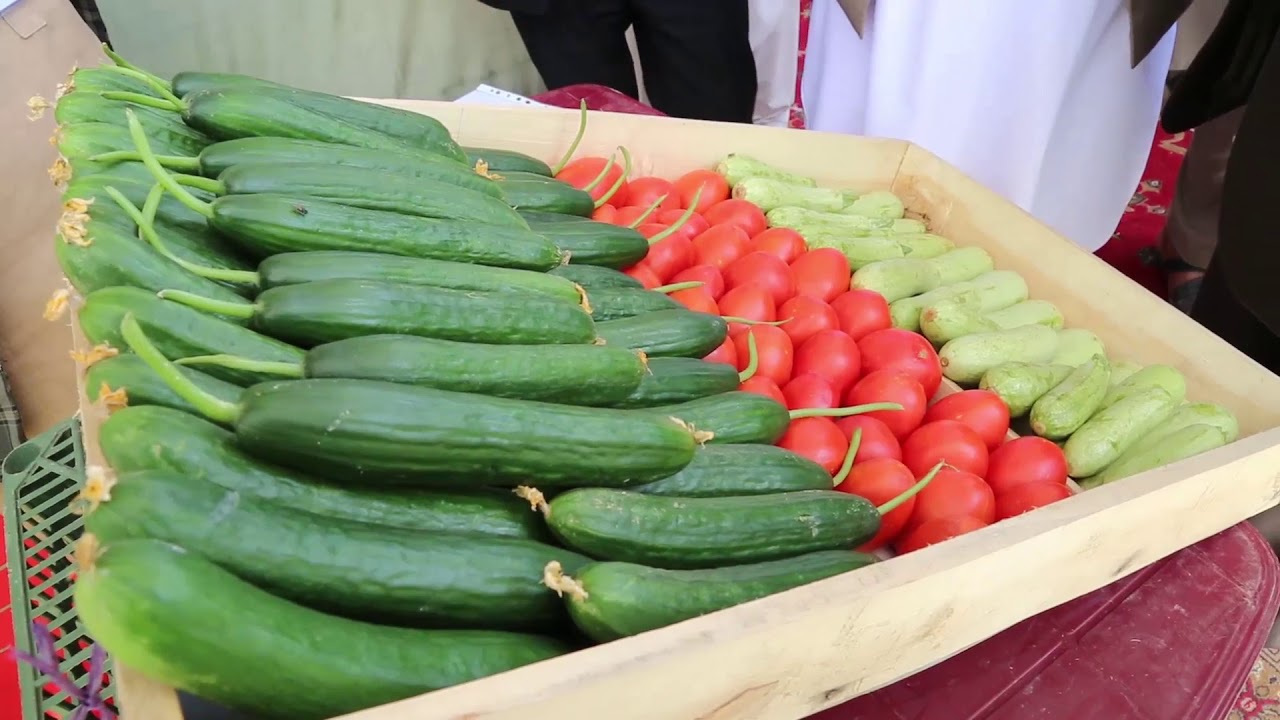 Afghanistan: Sustainable Economic Development and Employment Promotion in Baghlan