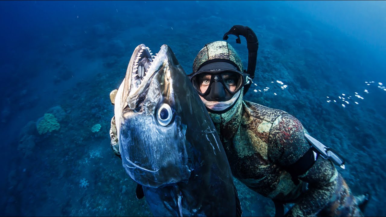 Spearfishing Indonesia HD 2015 Dogtooth Tuna Heaven Sigalsub