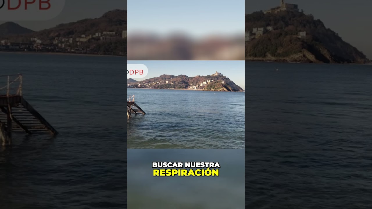 La Brisa Marina: Un Respiro Fresco Que Transforma Tu Día 