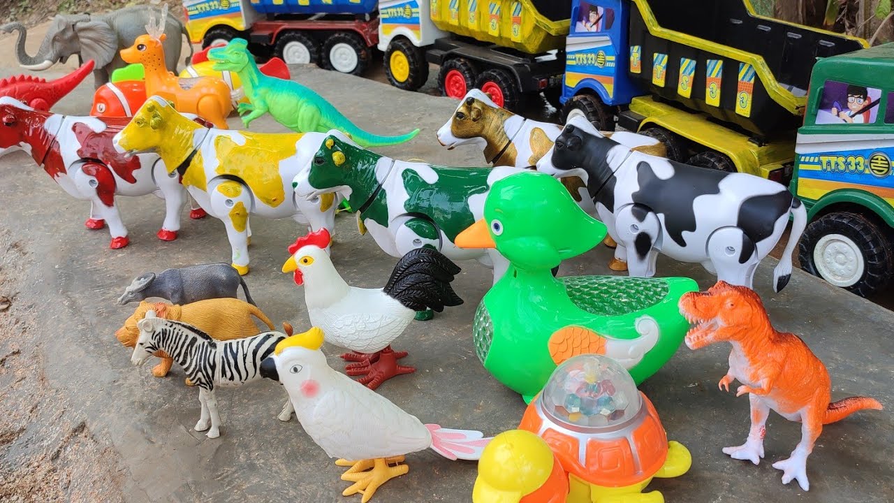 Wadidaaw 🔴 Wiih..! Truk oleng angkut sapi warna warni ayam gajah gorila kelinci latolato buaya rusa