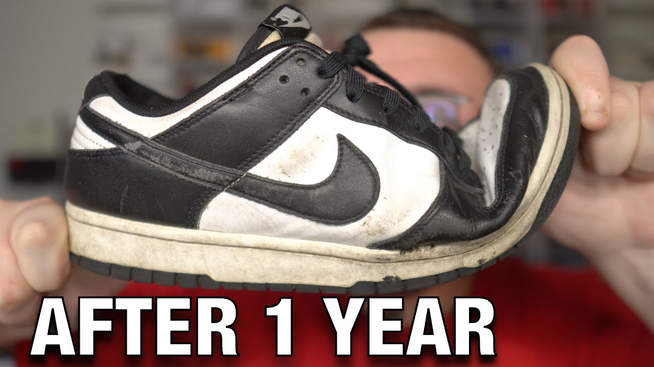 I Wore the PANDA DUNKS Everyday for a YEAR! (Pros and Cons)