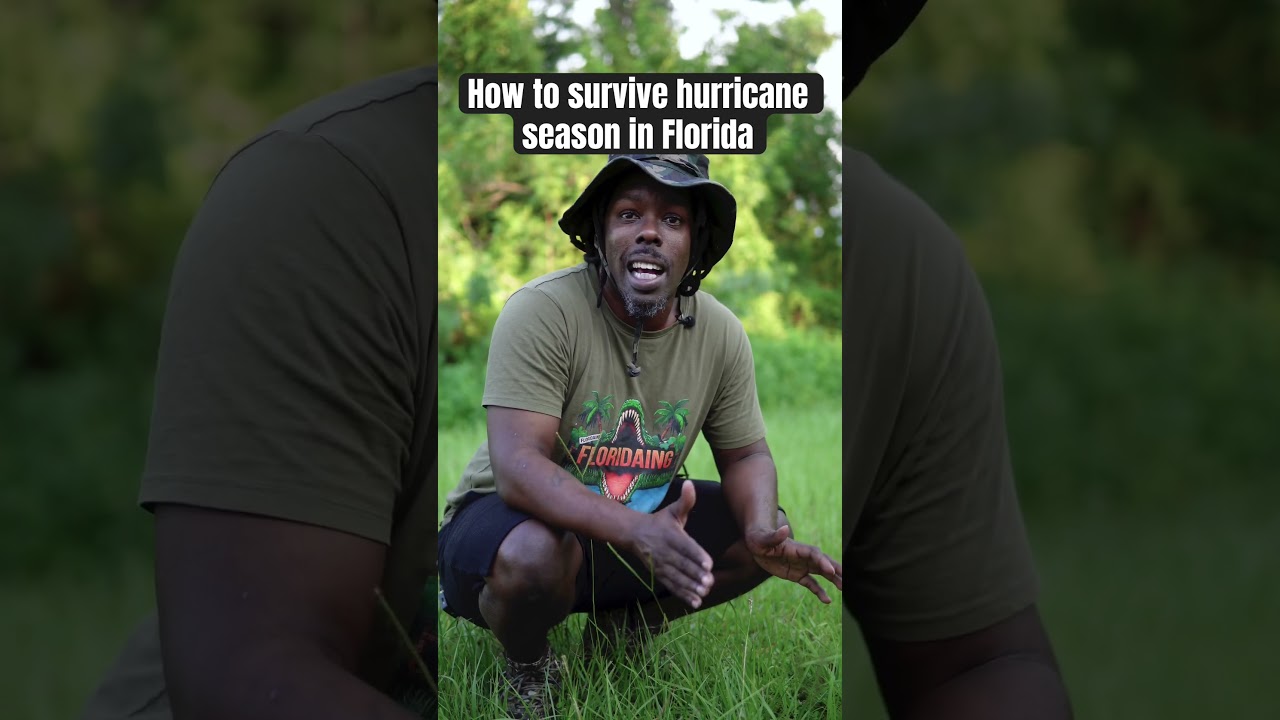 How to survive hurricane season in Florida