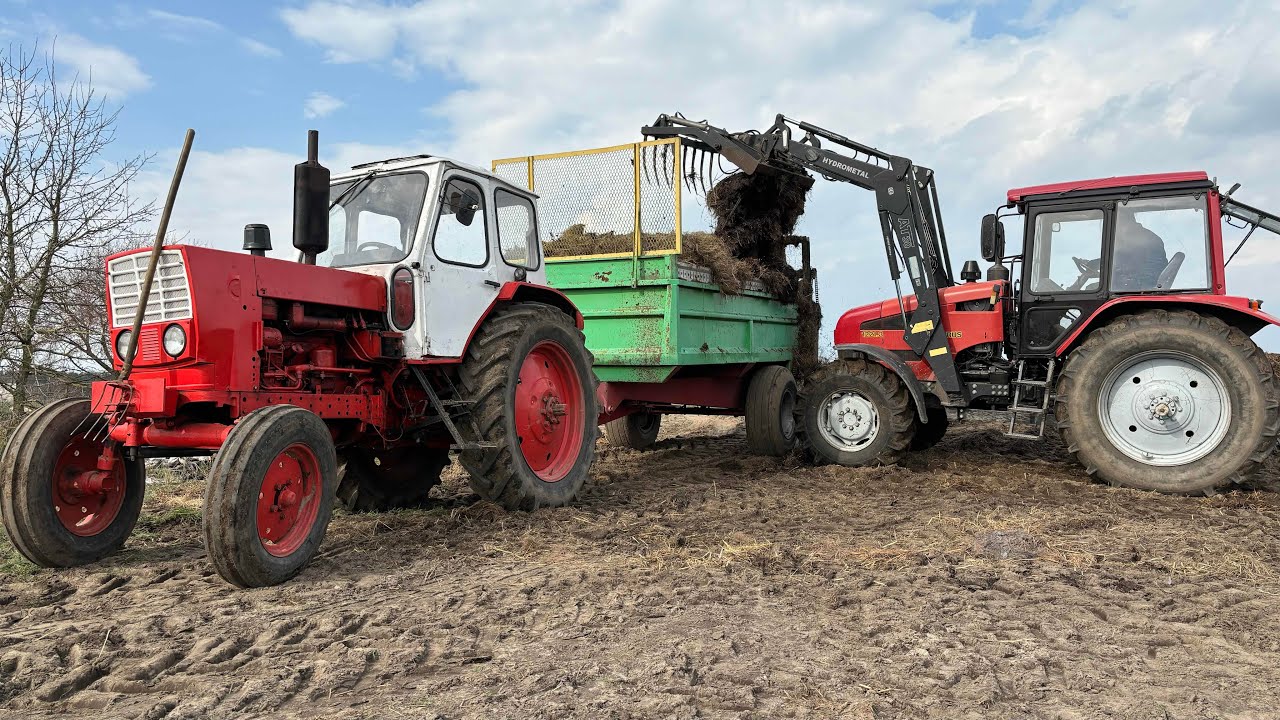 JUMZ W AKCJI! 🔥Obornik pod owies 2K24🌾MTZ & Jumz🚜
