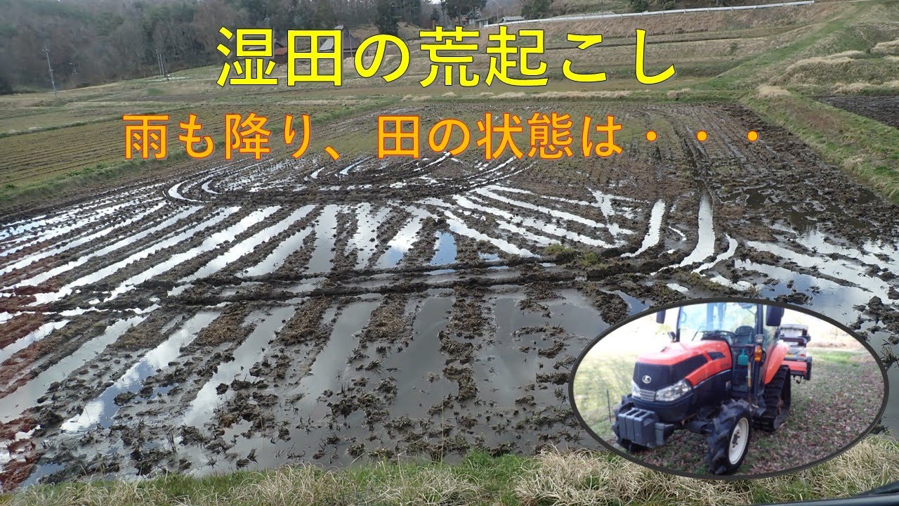 第４８１回　雨降り後の湿田の荒起こし