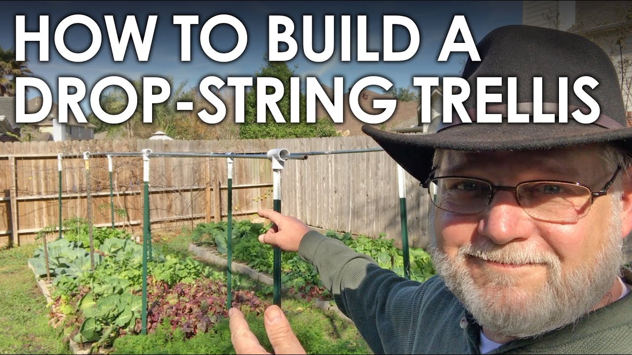 How to Build a String Trellis for Tomatoes and Cucumbers || Black Gumbo
