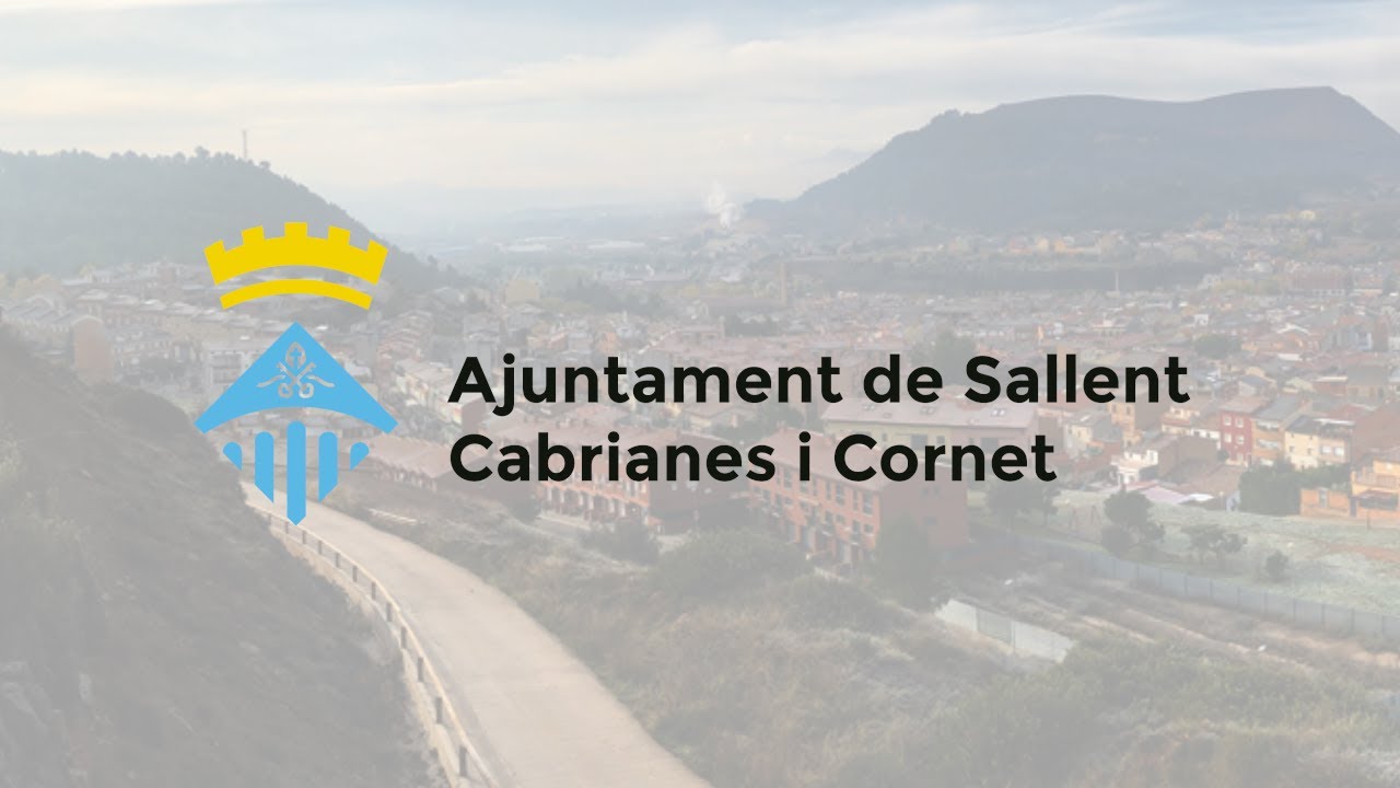 Sessió plenària ordinària dimecres 21 de gener de 2026