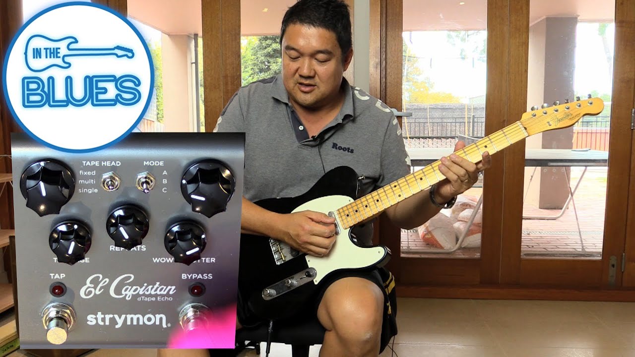 Strymon El Capistan dTape Echo Demo